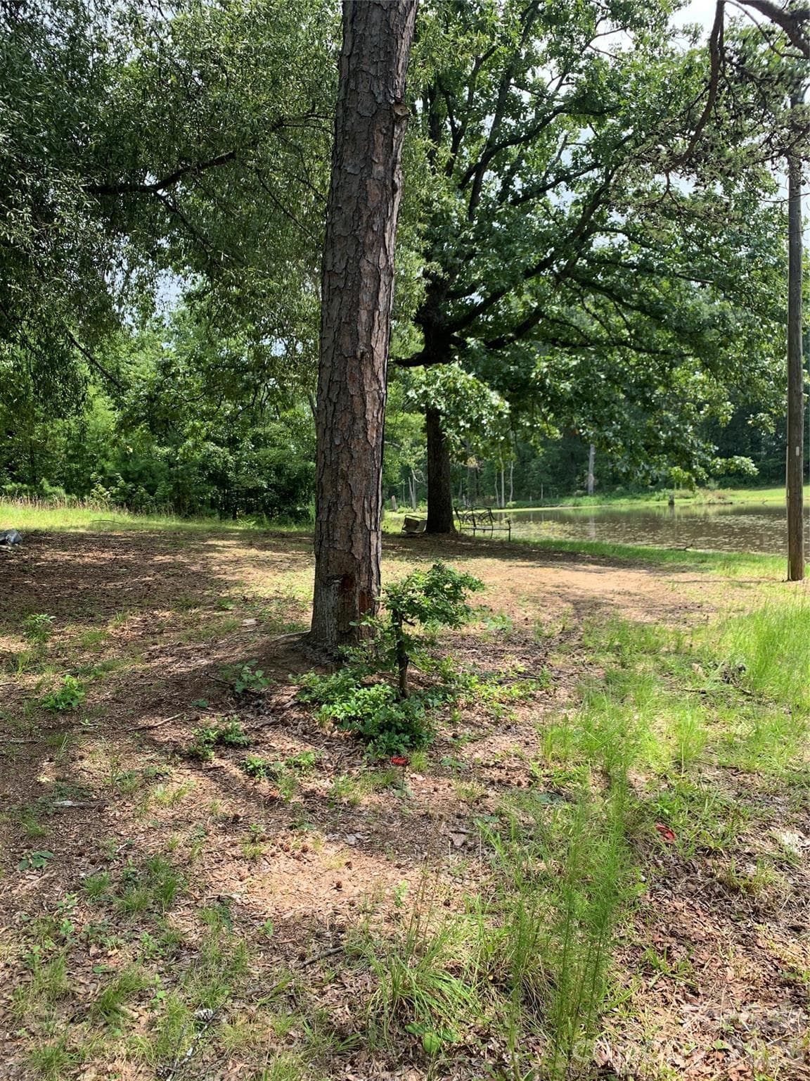 view of .36 north side piece as seen from Austin Dr access easement facing southeast - 524 Dawn Circle, Charlotte