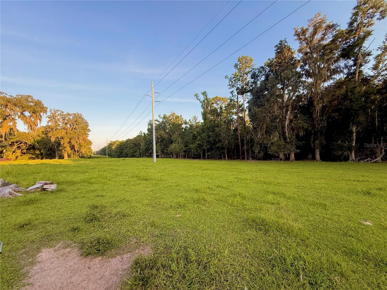 Single Family Residence at 25406 LADYHAWK LN, BROOKSVILLE, photo 98 of 126