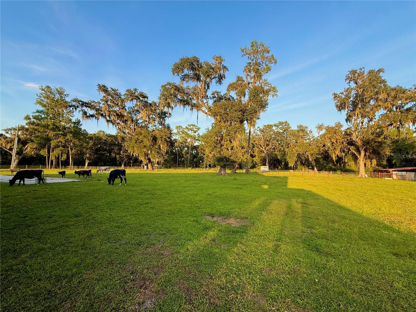 Single Family Residence at 25406 LADYHAWK LN, BROOKSVILLE, photo 101 of 126
