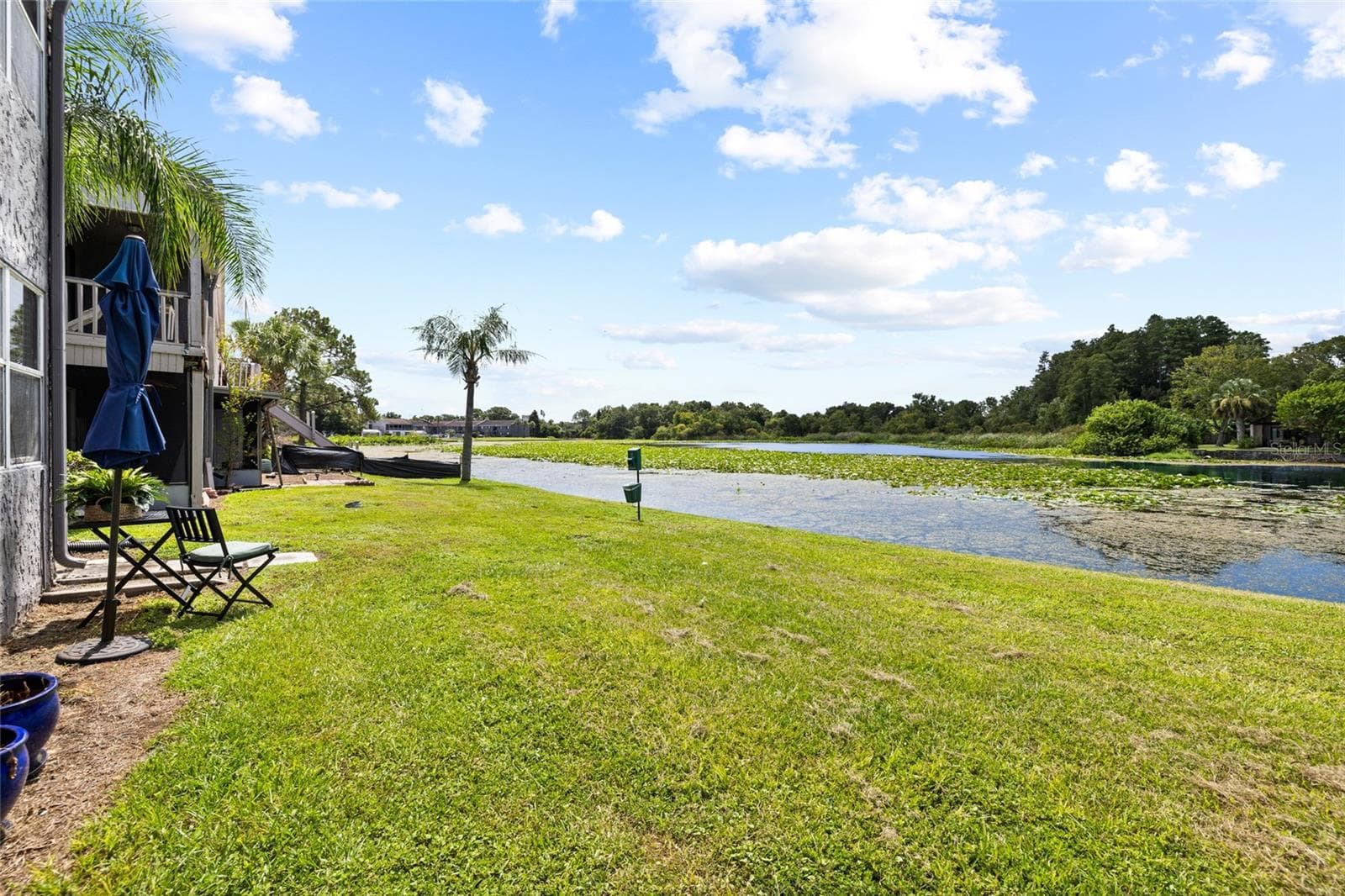 Lots of wildlife to see in the pond - 4038 CORTEZ DR #B, TAMPA