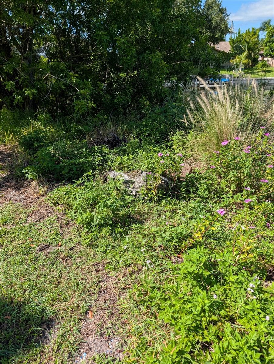 Land at 216 SW 12TH ST, CAPE CORAL, photo 16 of 18