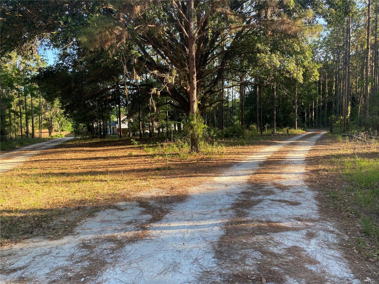 looking down the driveway - 2406 LAKE ELLA RD, FRUITLAND PARK