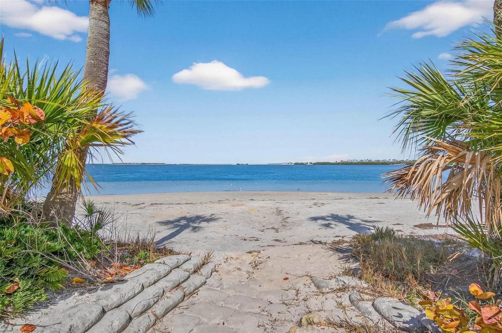 Single Family Residence at 203 DRIFTWOOD DR W, PALM HARBOR, photo 34 of 42