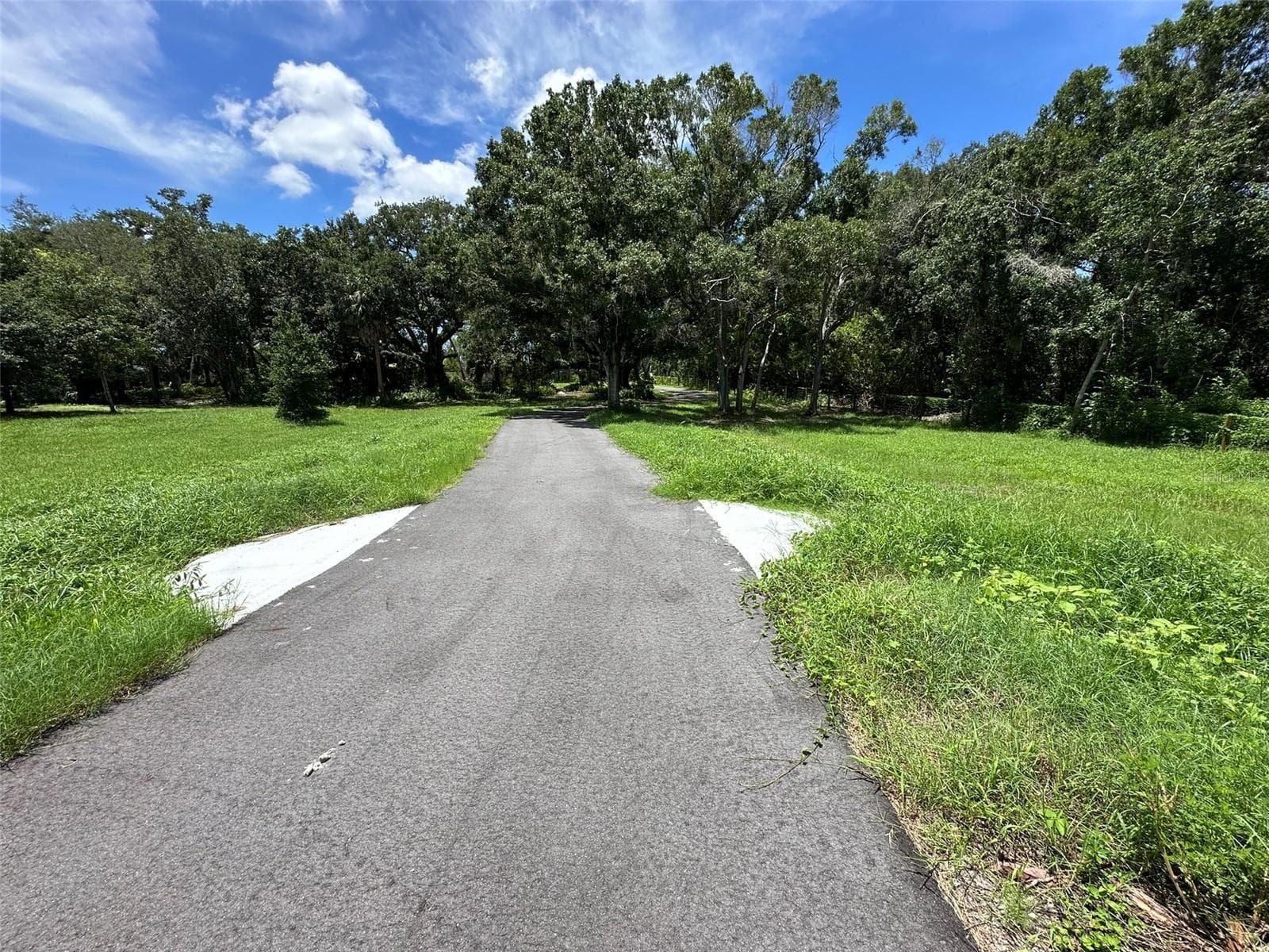 Standing near 4.2 acre boundary looking West across neighbors lot and new driveway easement in progress. - 1676 HERMOSA DR, PALM HARBOR