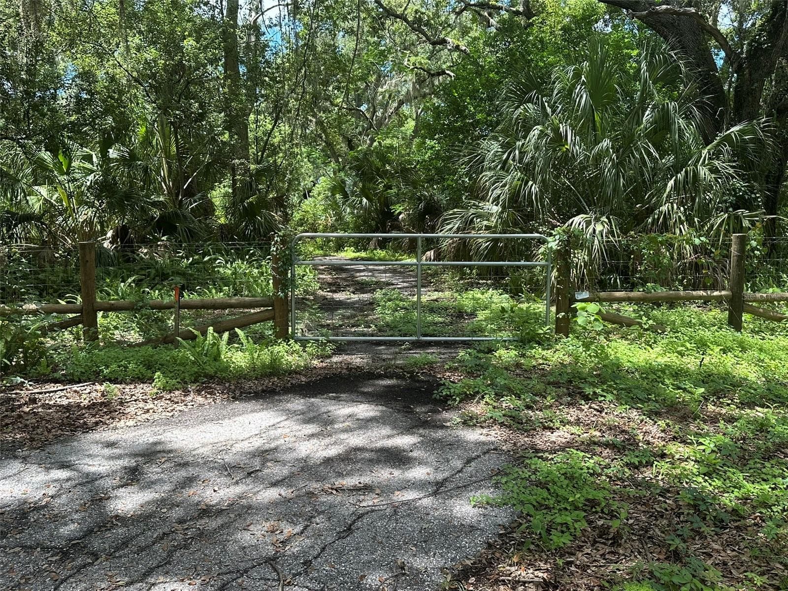 4.2 acres with new West side fencing and gate to abandoned old asphalt. - 1676 HERMOSA DR, PALM HARBOR