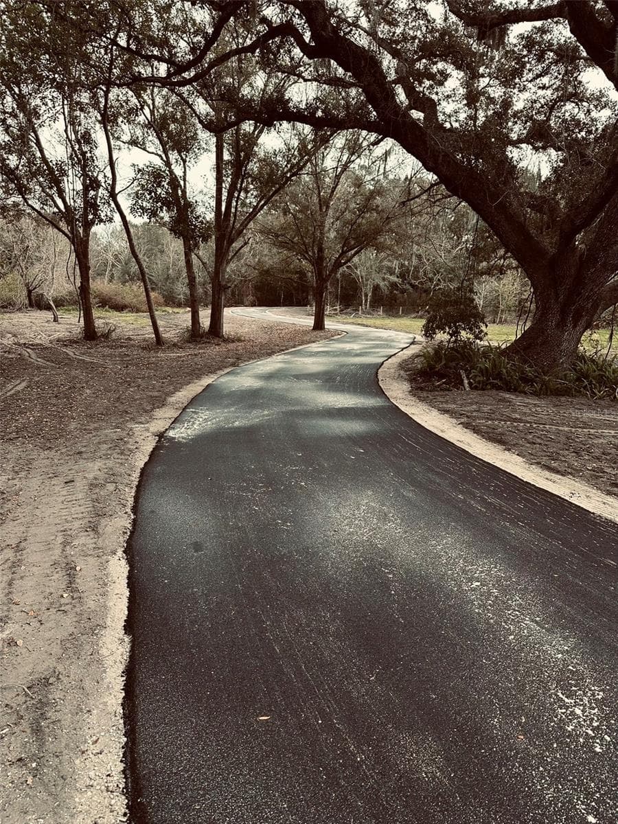 New asphalt just laid over raised road base. Entrance to 4.2 acres boundary is the tree line beyond. - 1676 HERMOSA DR, PALM HARBOR