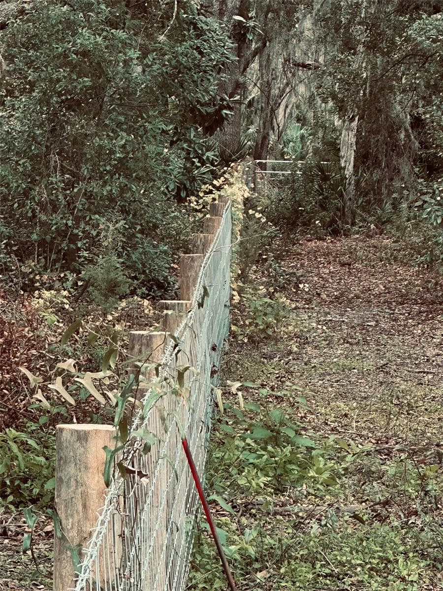 West Boundary Fence - 1676 HERMOSA DR, PALM HARBOR