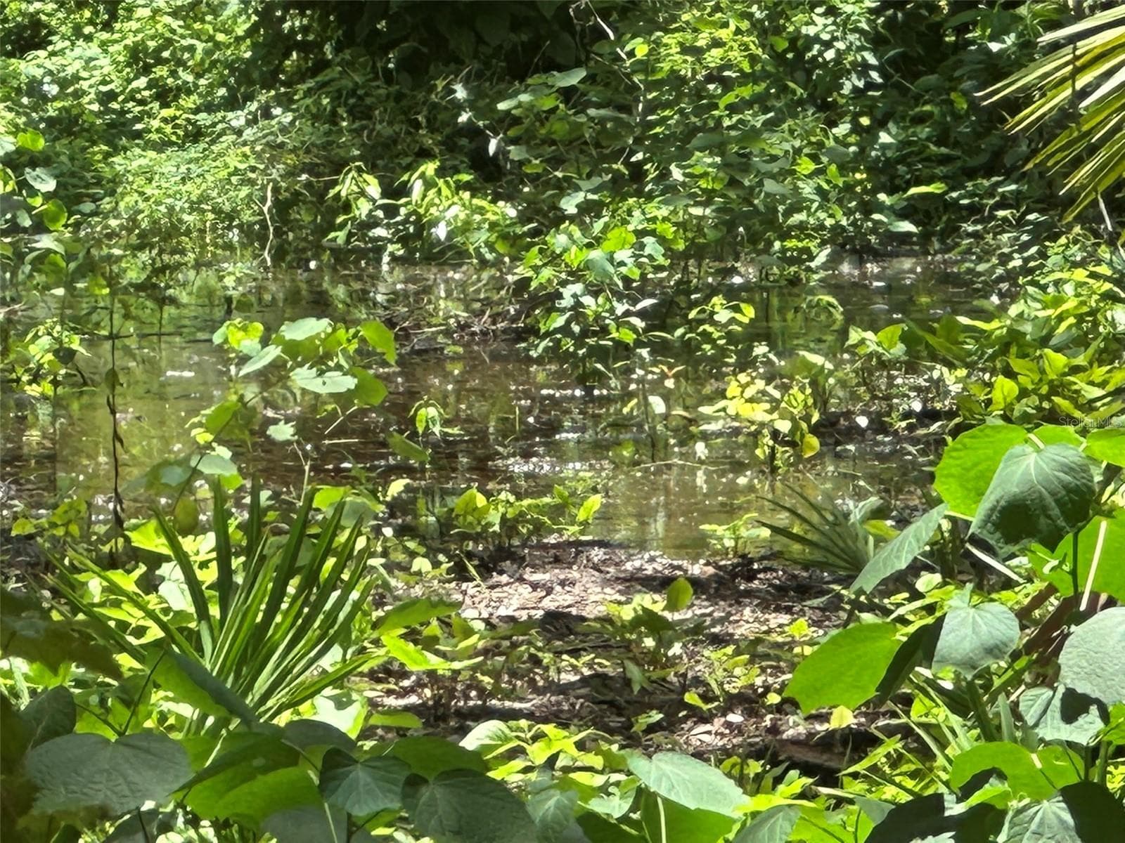 Land at 1676 HERMOSA DR, PALM HARBOR, photo 17 of 98