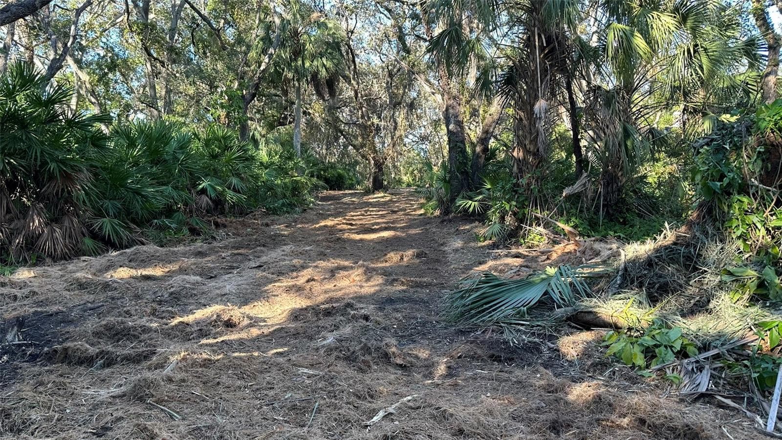 Land at 1676 HERMOSA DR, PALM HARBOR, photo 18 of 98