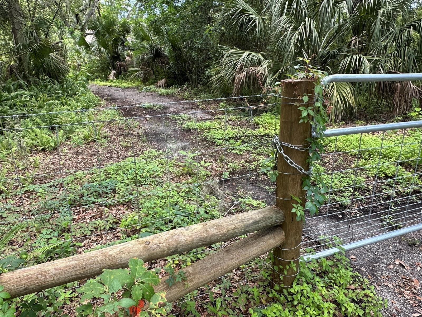 West Boundary Fenceline and Gate. Abandoned asphalt. - 1676 HERMOSA DR, PALM HARBOR