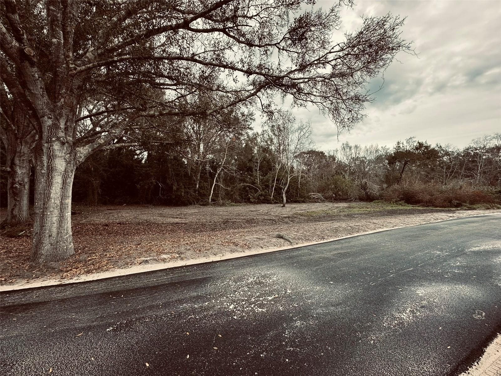 Land at 1676 HERMOSA DR, PALM HARBOR, photo 22 of 98