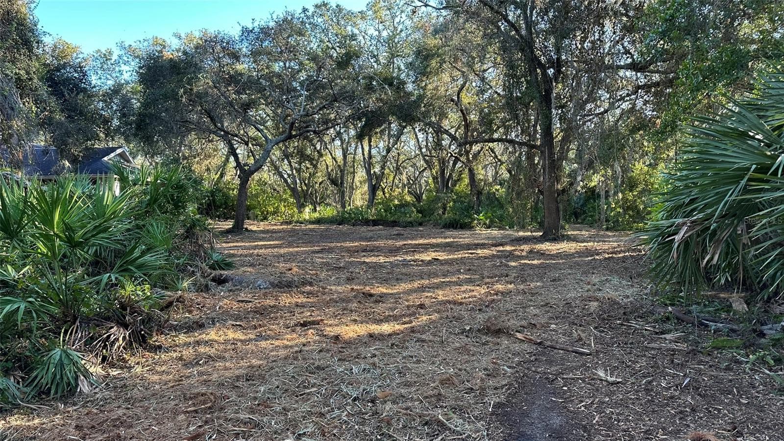 Clearing started and before demo of structure #2 - 1676 HERMOSA DR, PALM HARBOR