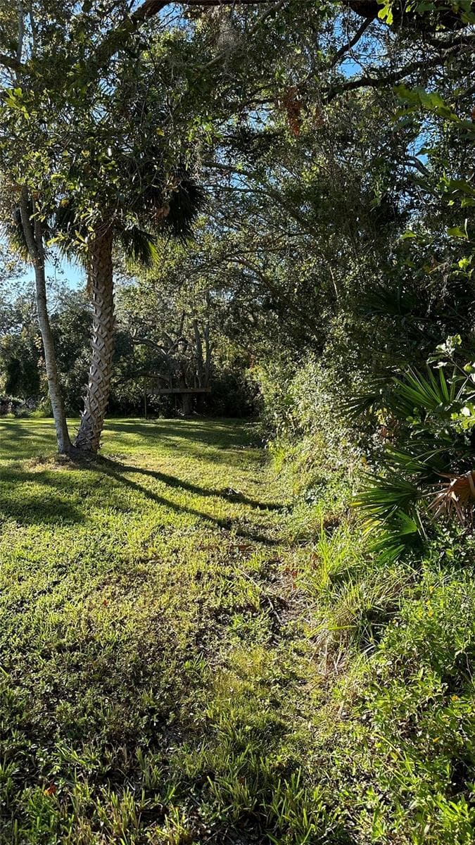 South Boundary line from 4.2 acre parcel right to luxury acreage and home left. - 1676 HERMOSA DR, PALM HARBOR