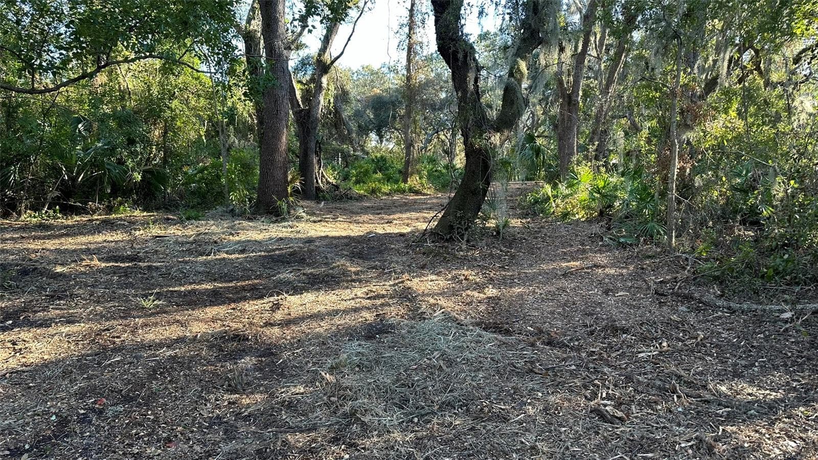 Land at 1676 HERMOSA DR, PALM HARBOR, photo 35 of 98