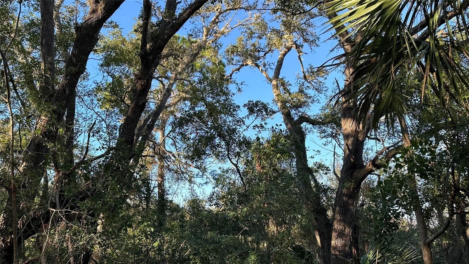 Land at 1676 HERMOSA DR, PALM HARBOR, photo 36 of 98