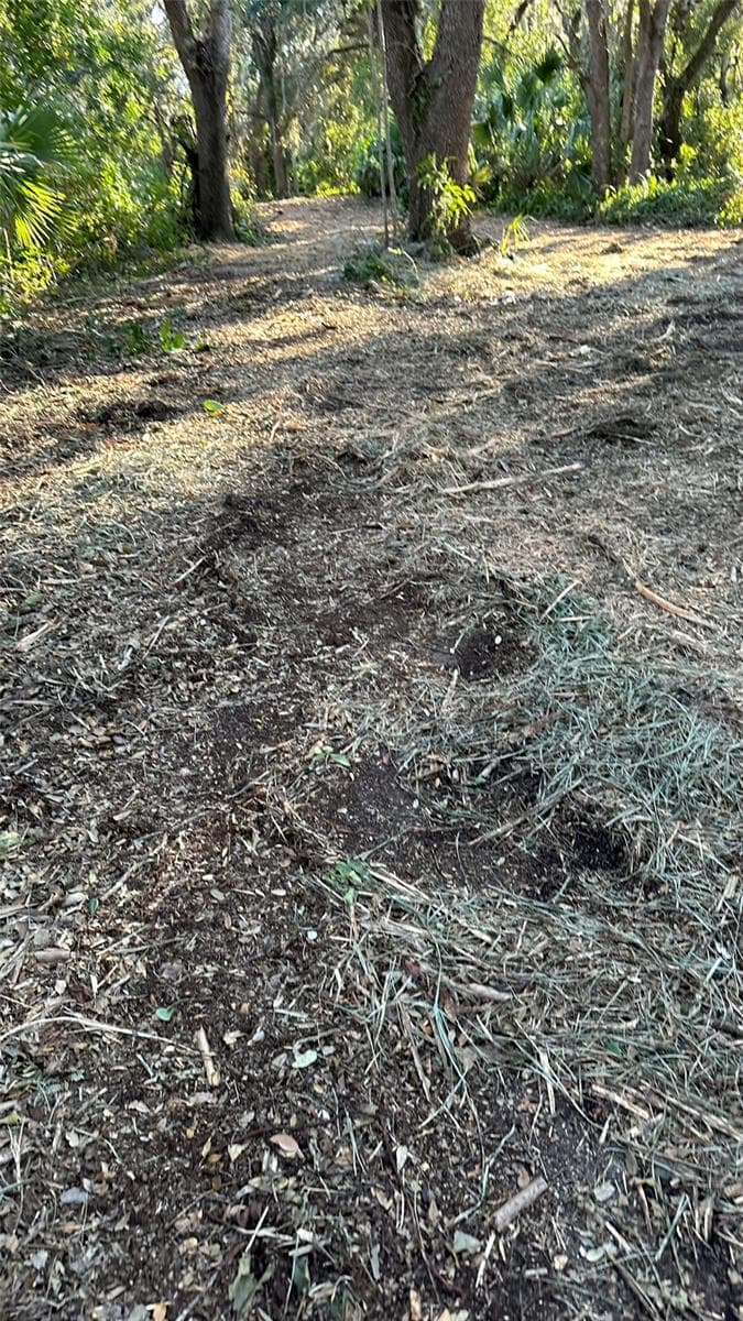 Land at 1676 HERMOSA DR, PALM HARBOR, photo 38 of 98