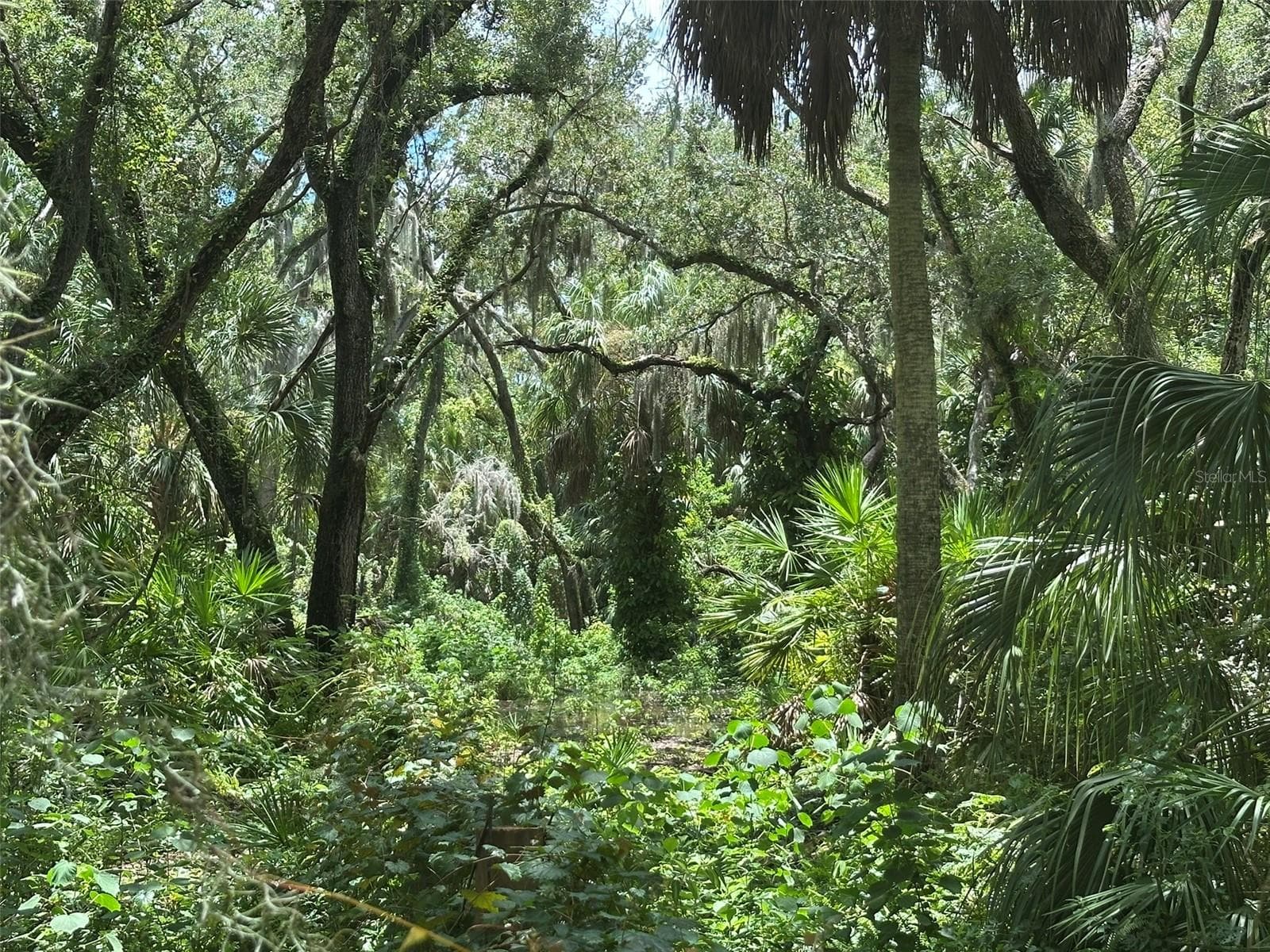 Land at 1676 HERMOSA DR, PALM HARBOR, photo 39 of 98