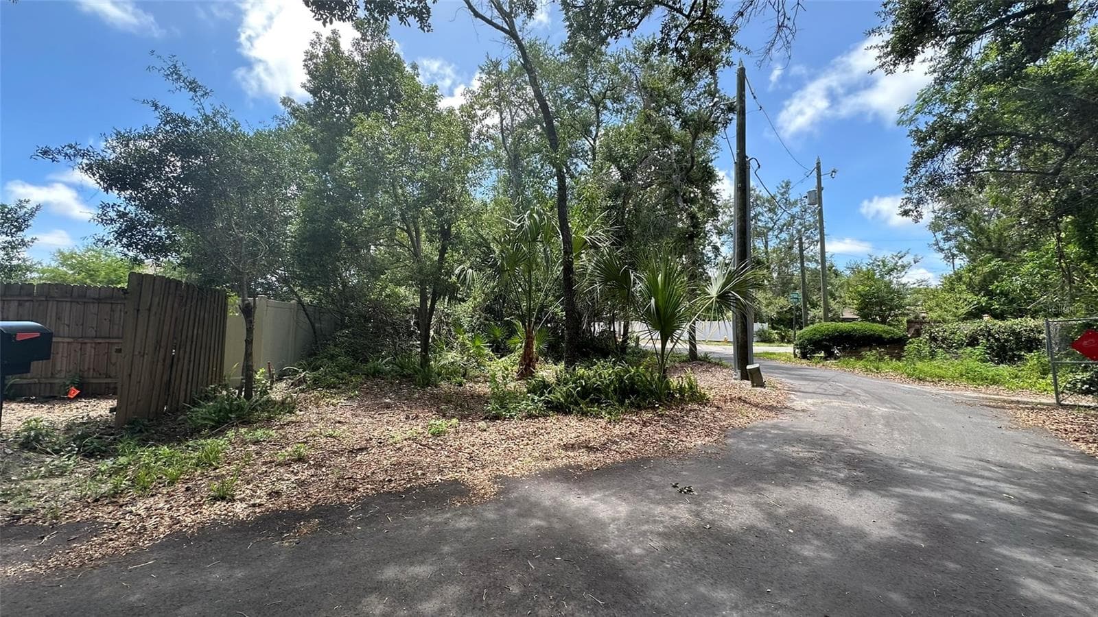 Land at 1676 HERMOSA DR, PALM HARBOR, photo 41 of 98