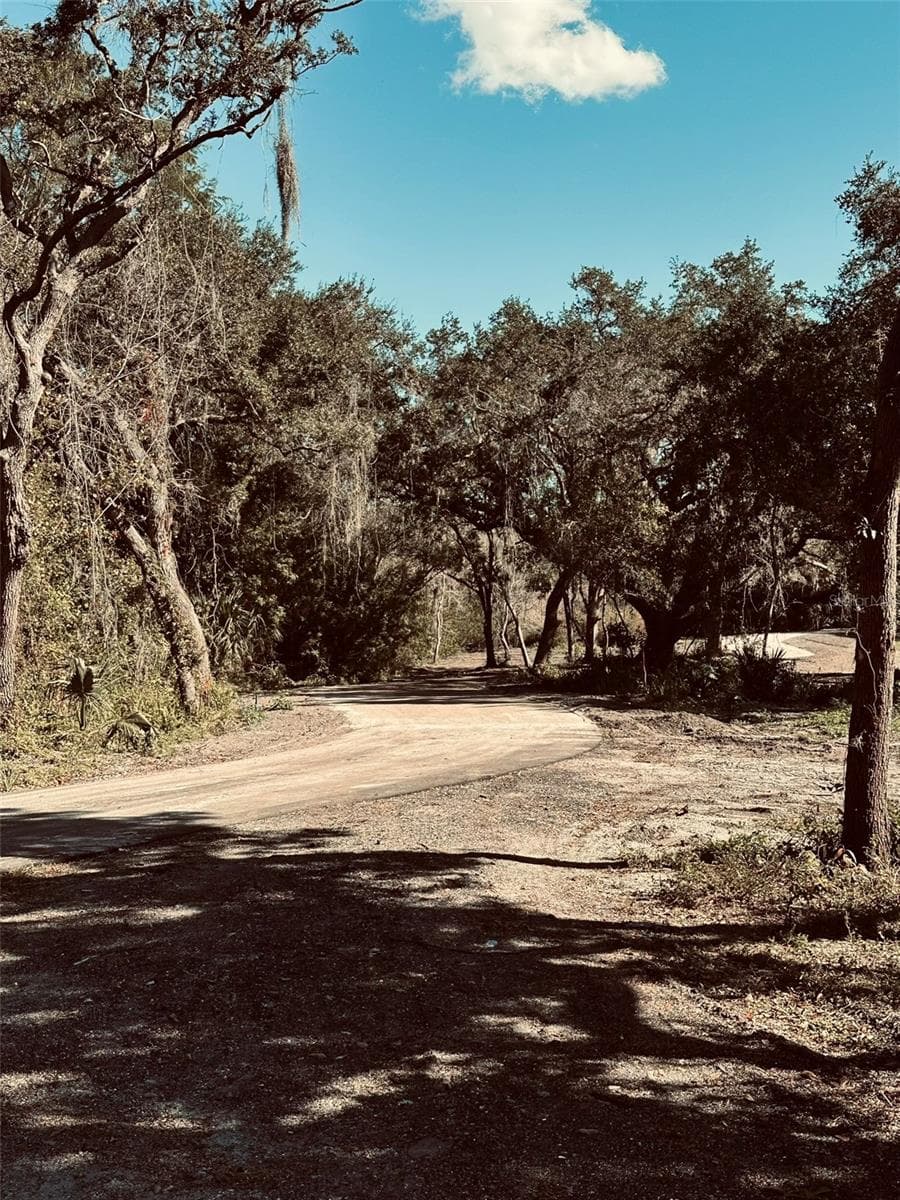Land at 1676 HERMOSA DR, PALM HARBOR, photo 43 of 98