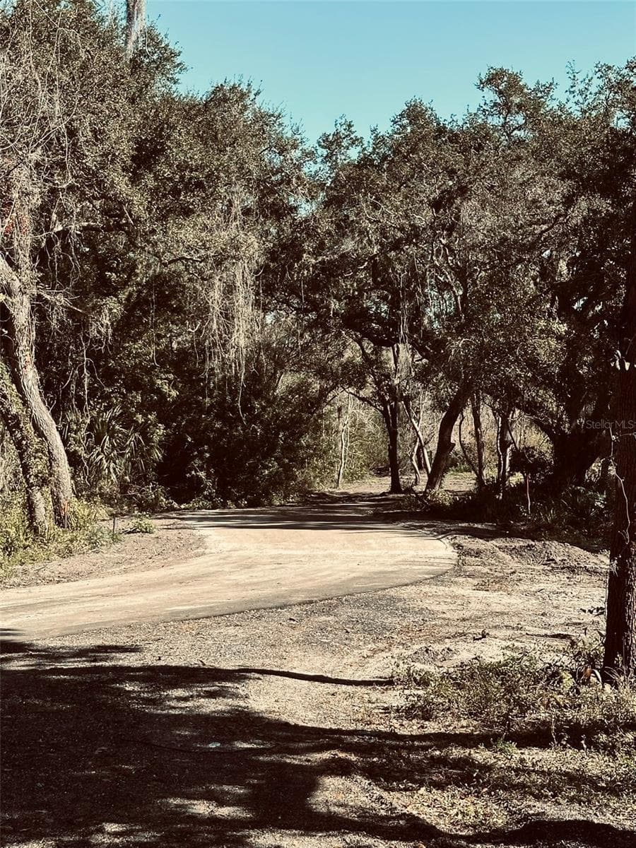 Land at 1676 HERMOSA DR, PALM HARBOR, photo 46 of 98