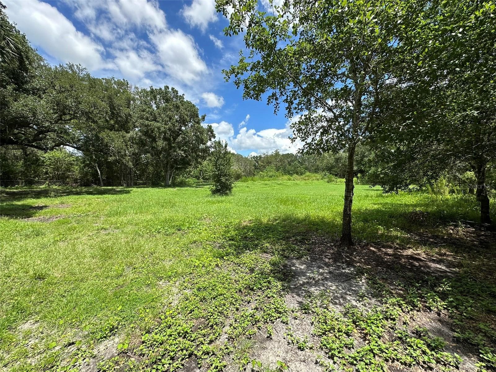 Land at 1676 HERMOSA DR, PALM HARBOR, photo 51 of 98