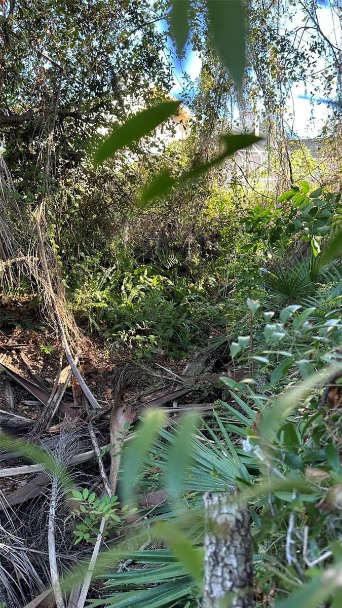 Land at 1676 HERMOSA DR, PALM HARBOR, photo 67 of 98