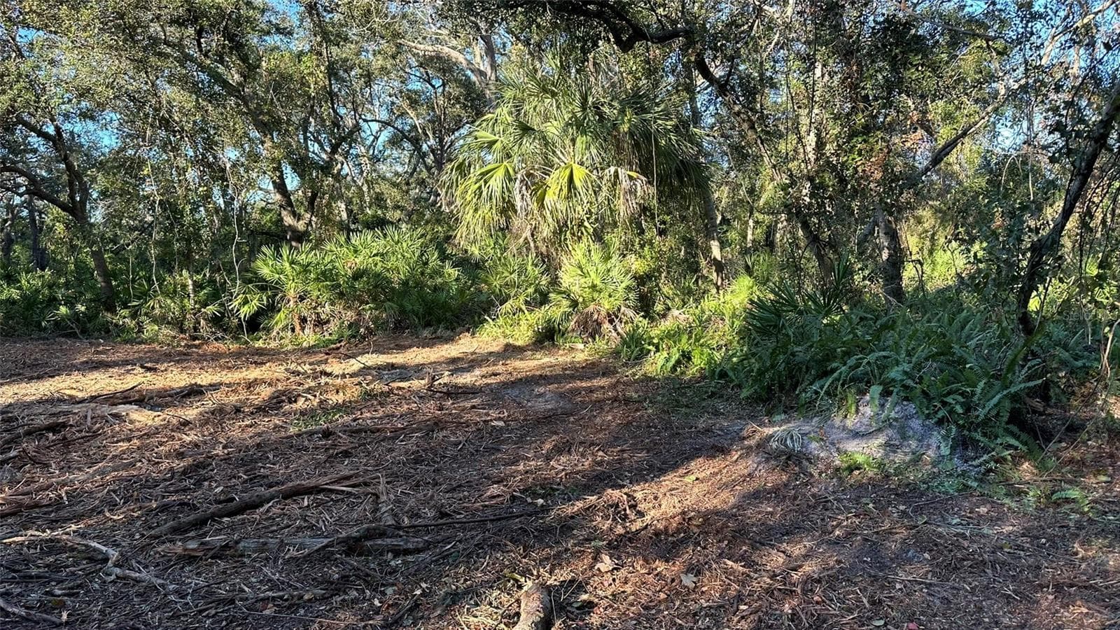 Land at 1676 HERMOSA DR, PALM HARBOR, photo 70 of 98