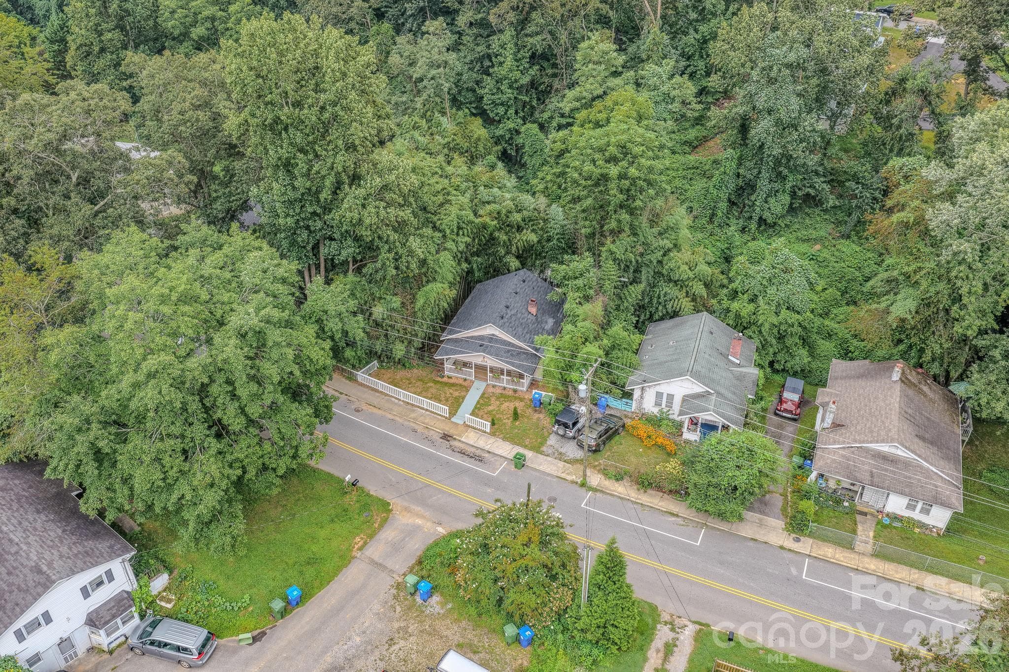 Single Family Residence at 298 State Street, Asheville, photo 8 of 33