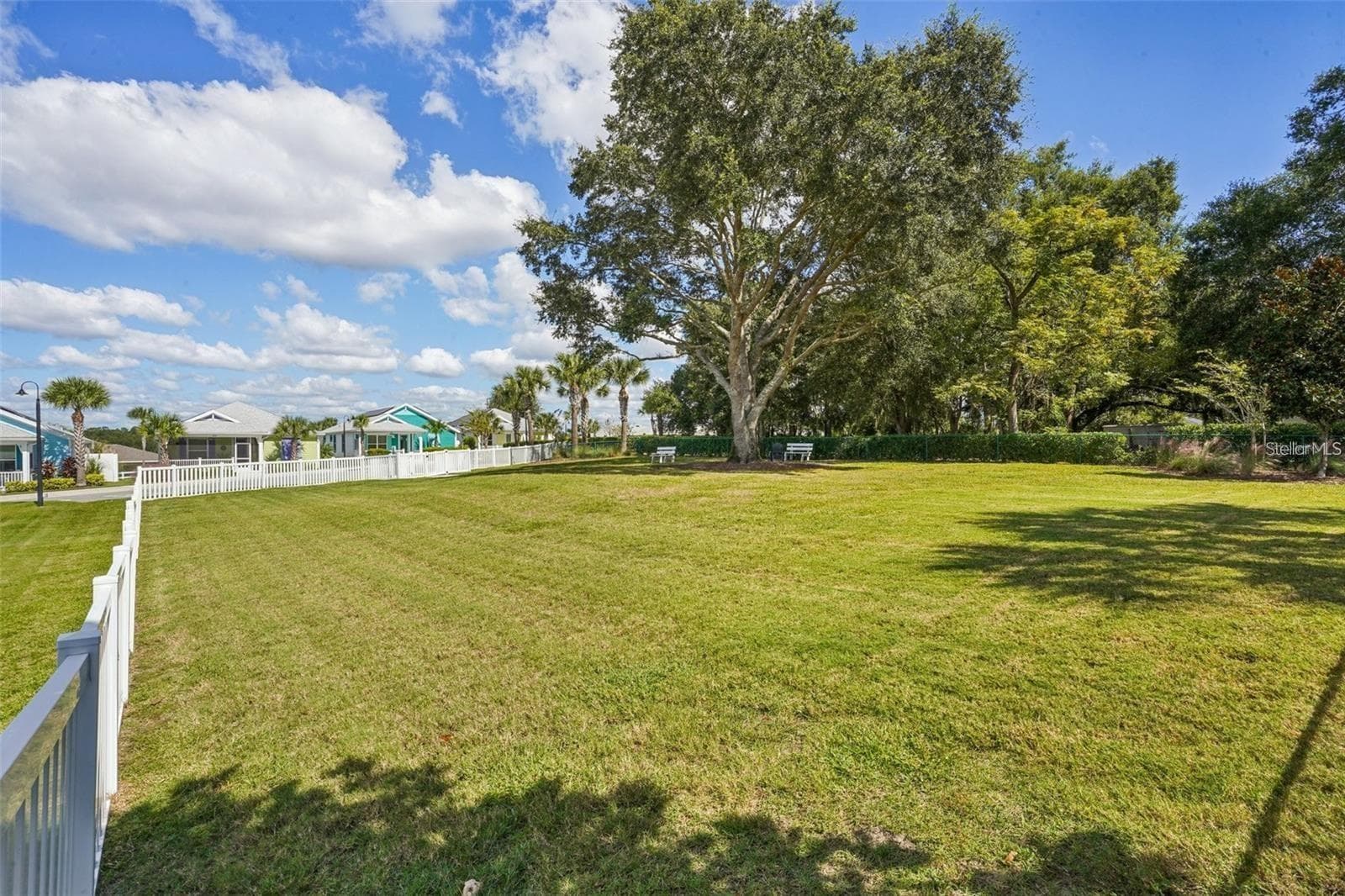 Dog Park - 1212 FIESTA KEY CIR, LADY LAKE
