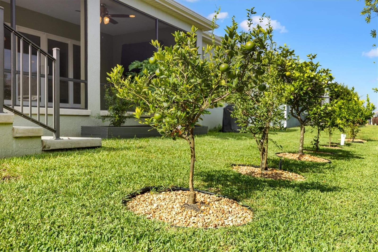 Single Family Residence at 575 RANDALL RD, THE VILLAGES, photo 31 of 49