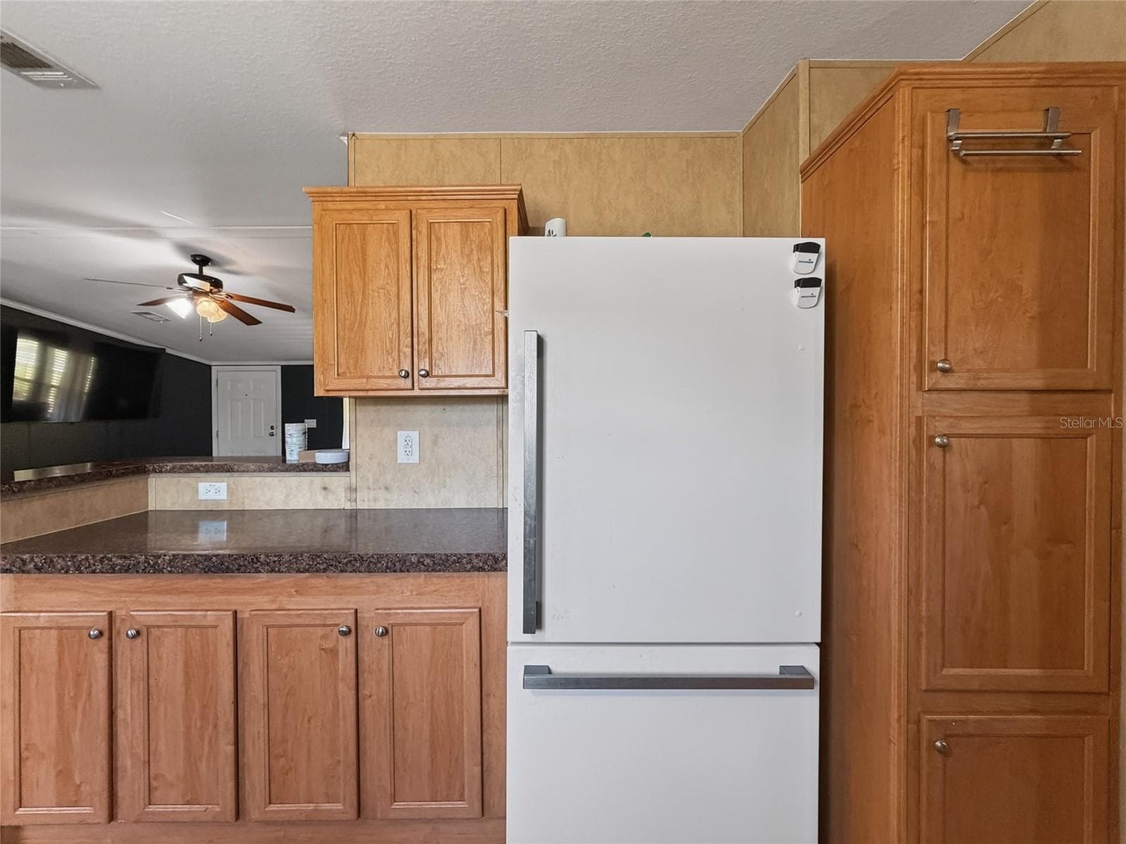 Manufactured Home at 37647 JENNY LN, EUSTIS, photo 17 of 69