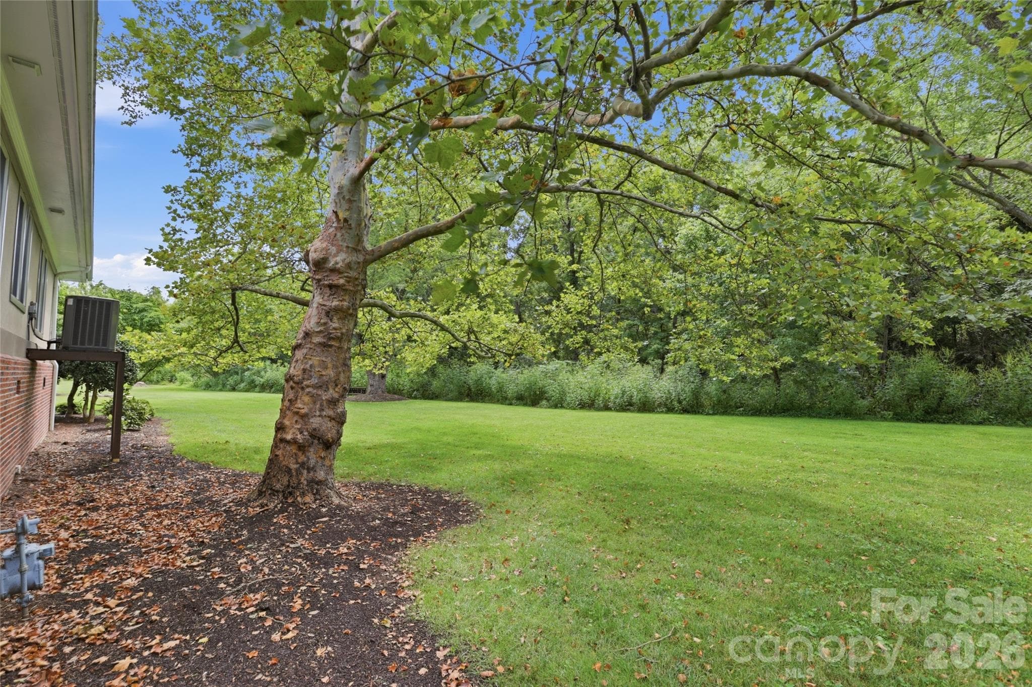 Expansive green area - 18 Creekside Way, Asheville