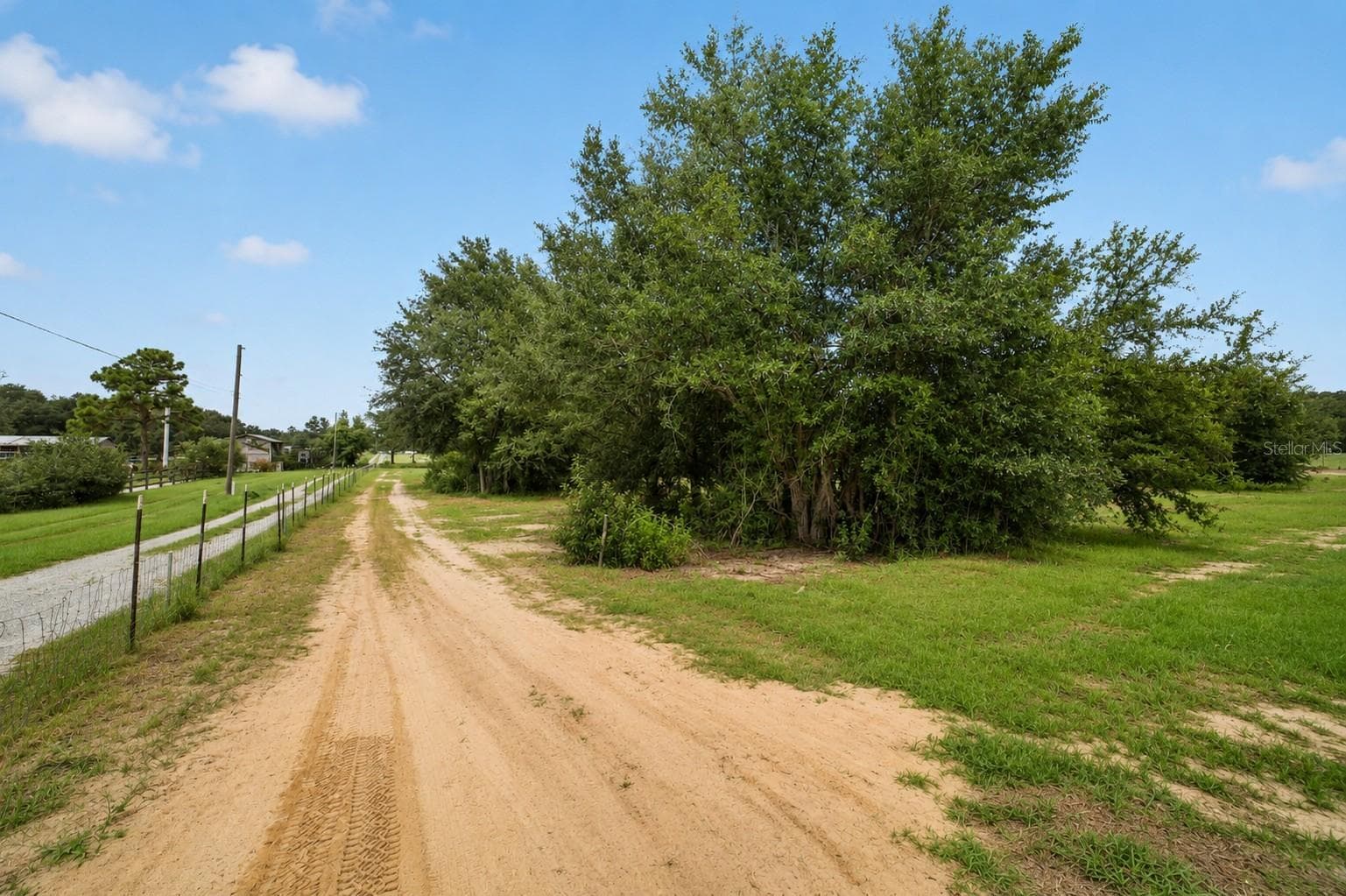 Driveway, front 3 acres on the left parcel 2 - 15355 SE 113TH STREET RD, OCKLAWAHA