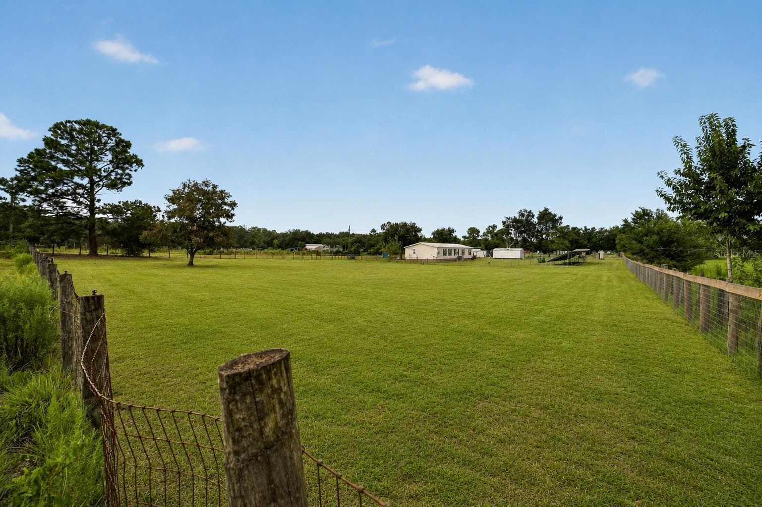 Front Pasture - 15355 SE 113TH STREET RD, OCKLAWAHA