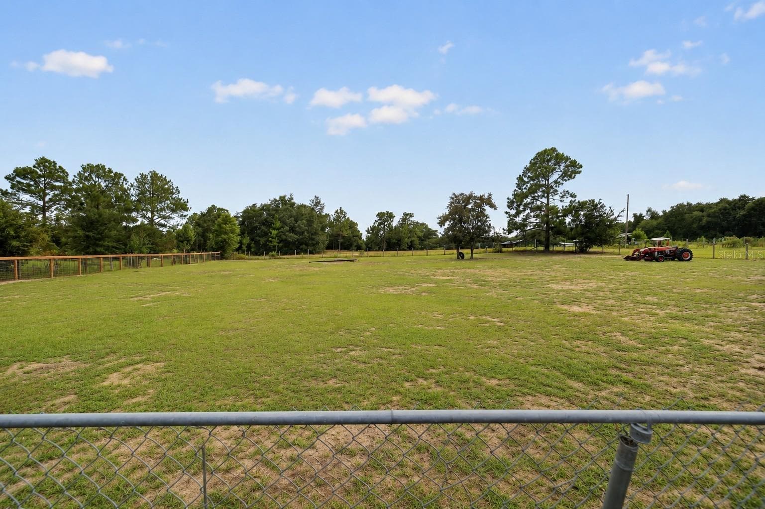 Front Pasture - 15355 SE 113TH STREET RD, OCKLAWAHA