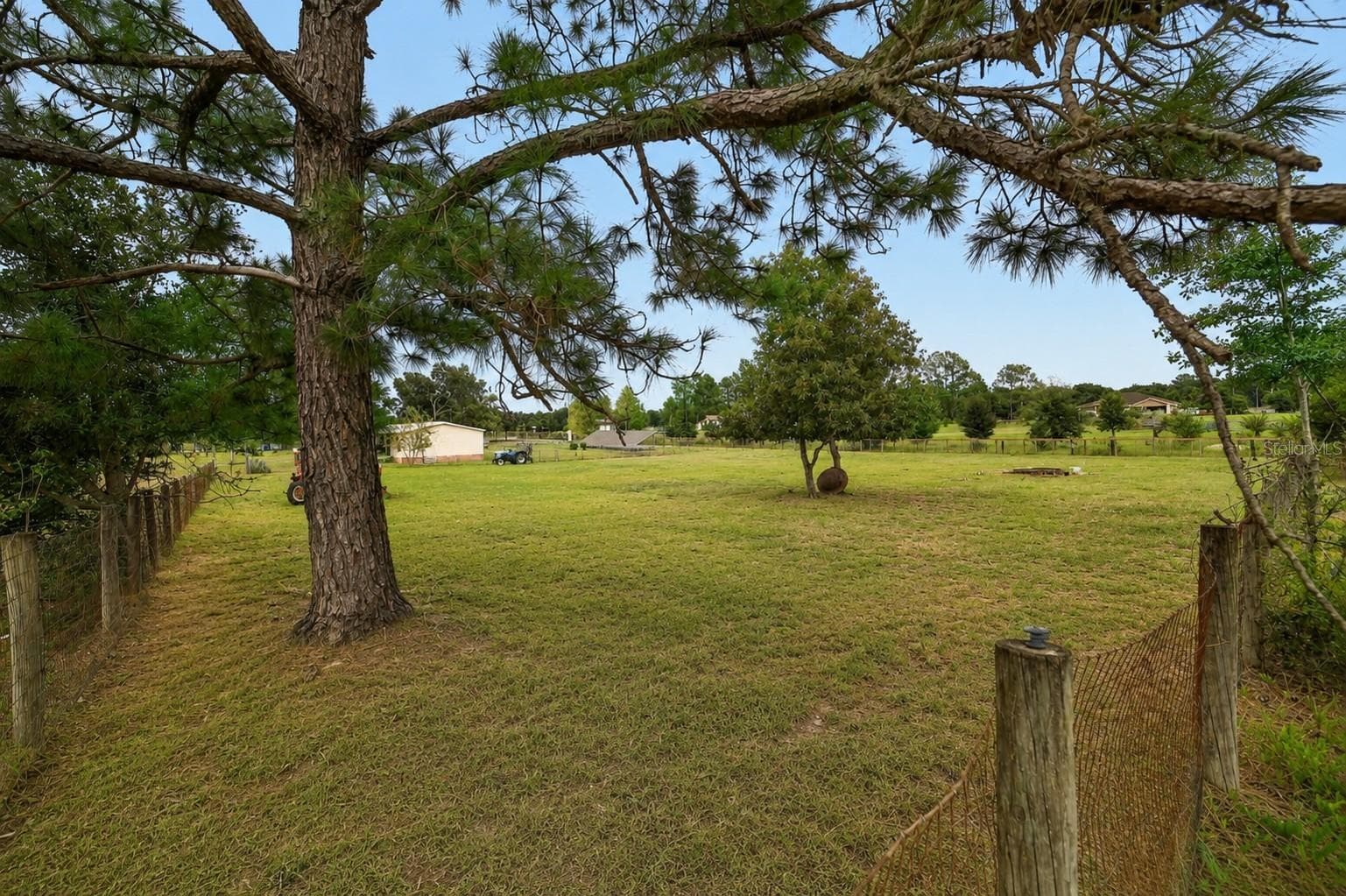 Front Pasture - 15355 SE 113TH STREET RD, OCKLAWAHA