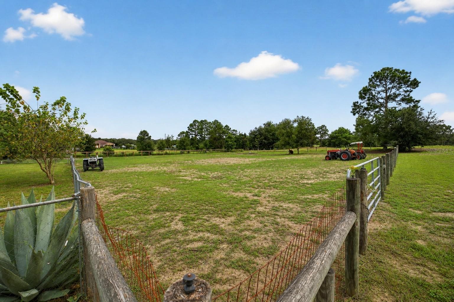 Front Pasture - 15355 SE 113TH STREET RD, OCKLAWAHA