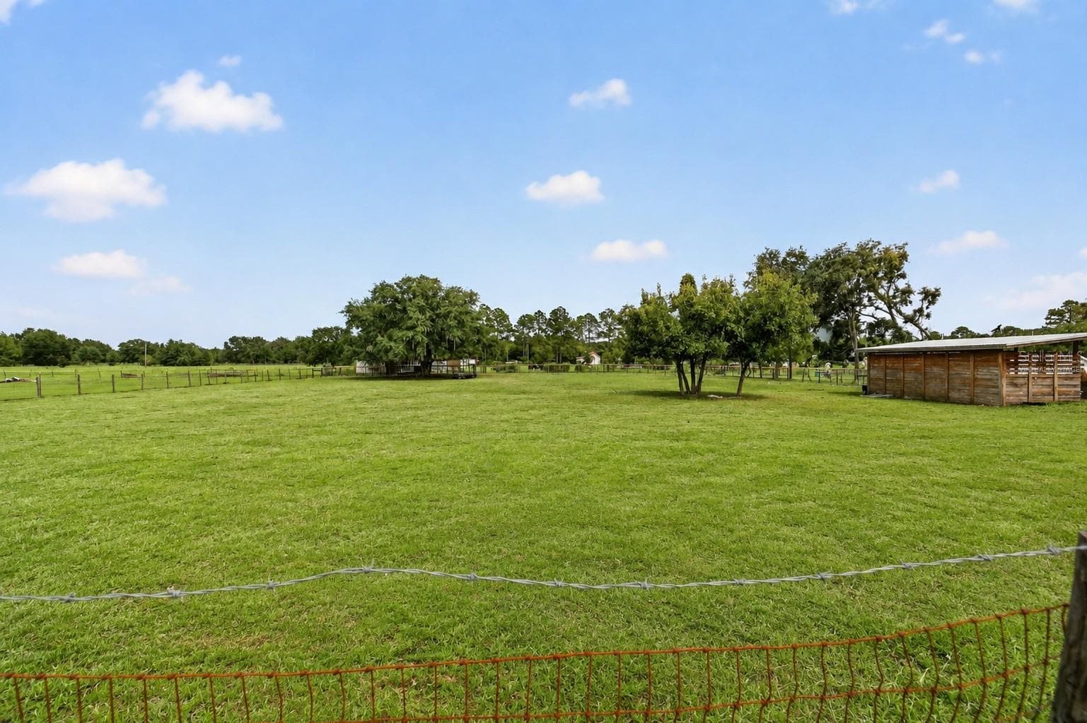 Back Pasture - 15355 SE 113TH STREET RD, OCKLAWAHA