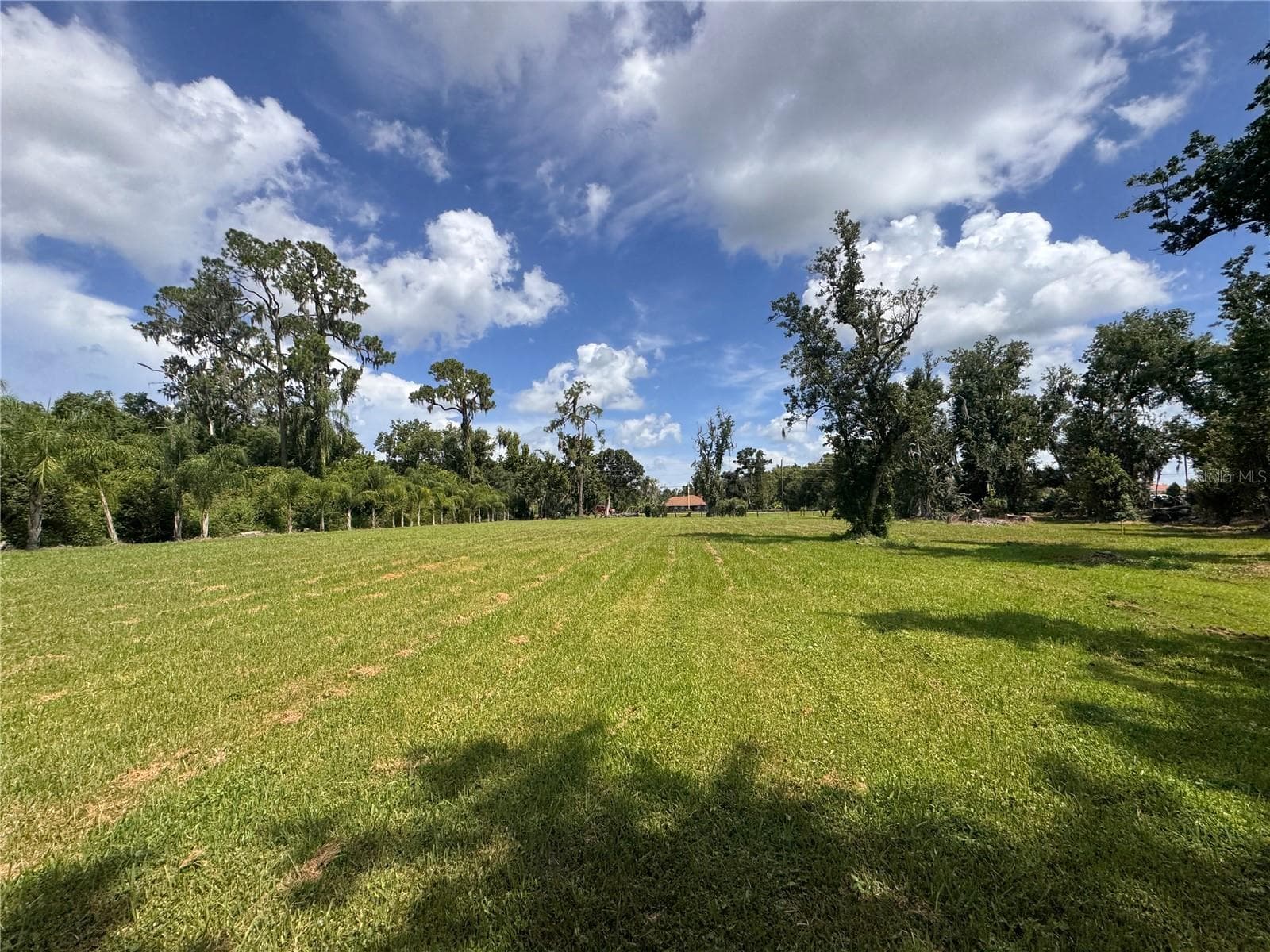 Land at 12275 COUNTY ROAD 675, PARRISH, photo 10 of 43