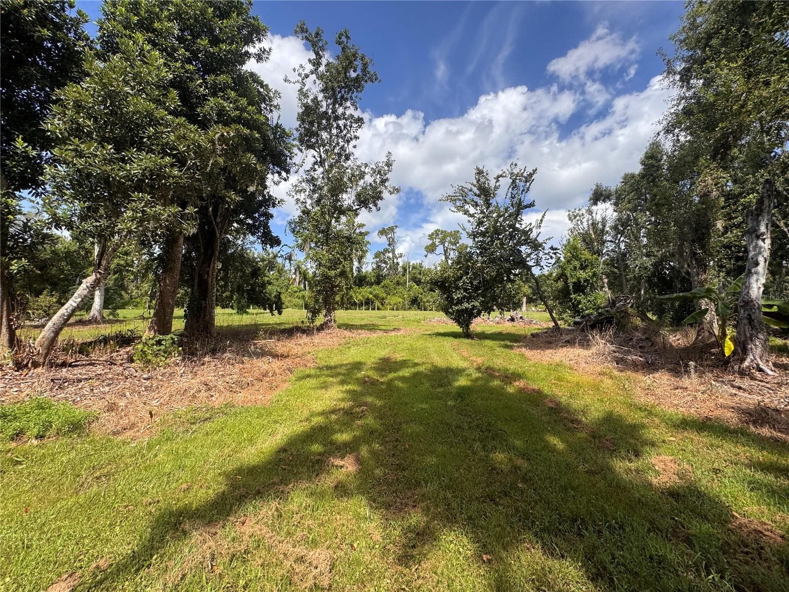 Land at 12275 COUNTY ROAD 675, PARRISH, photo 14 of 43