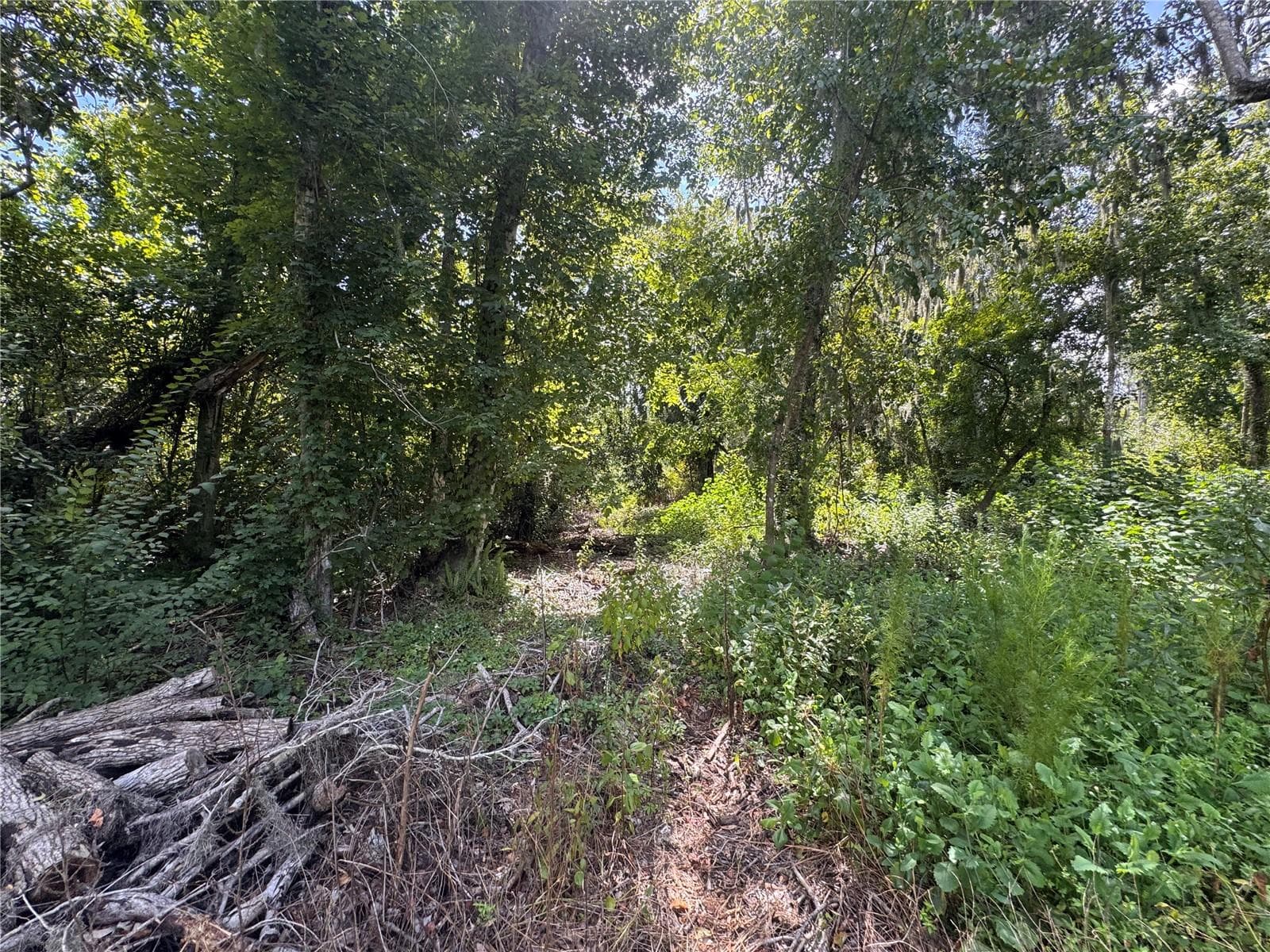 Land at 12275 COUNTY ROAD 675, PARRISH, photo 15 of 43