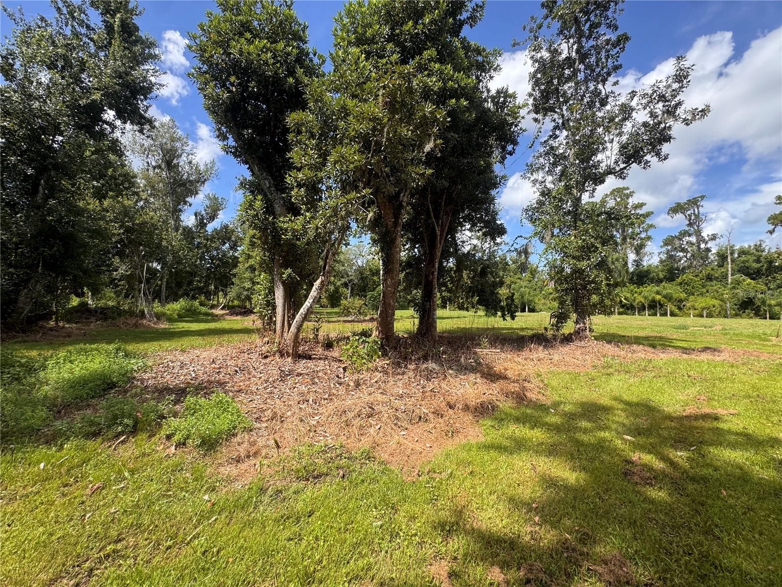 Land at 12275 COUNTY ROAD 675, PARRISH, photo 16 of 43
