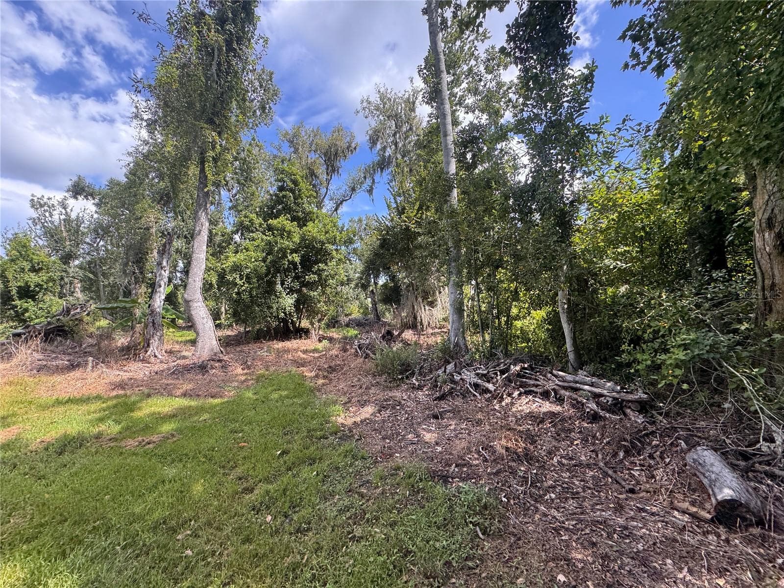 Land at 12275 COUNTY ROAD 675, PARRISH, photo 17 of 43