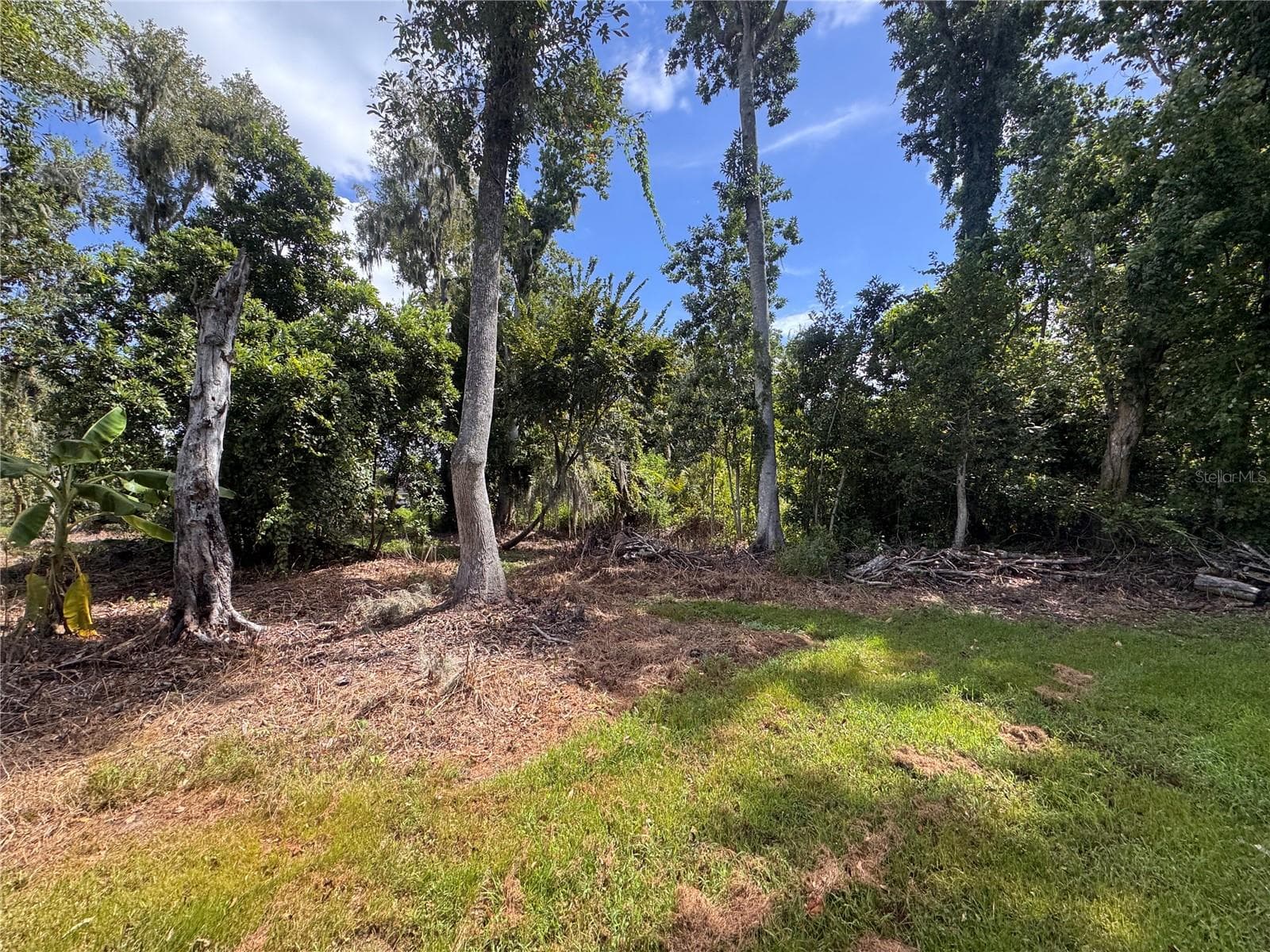 Land at 12275 COUNTY ROAD 675, PARRISH, photo 19 of 43