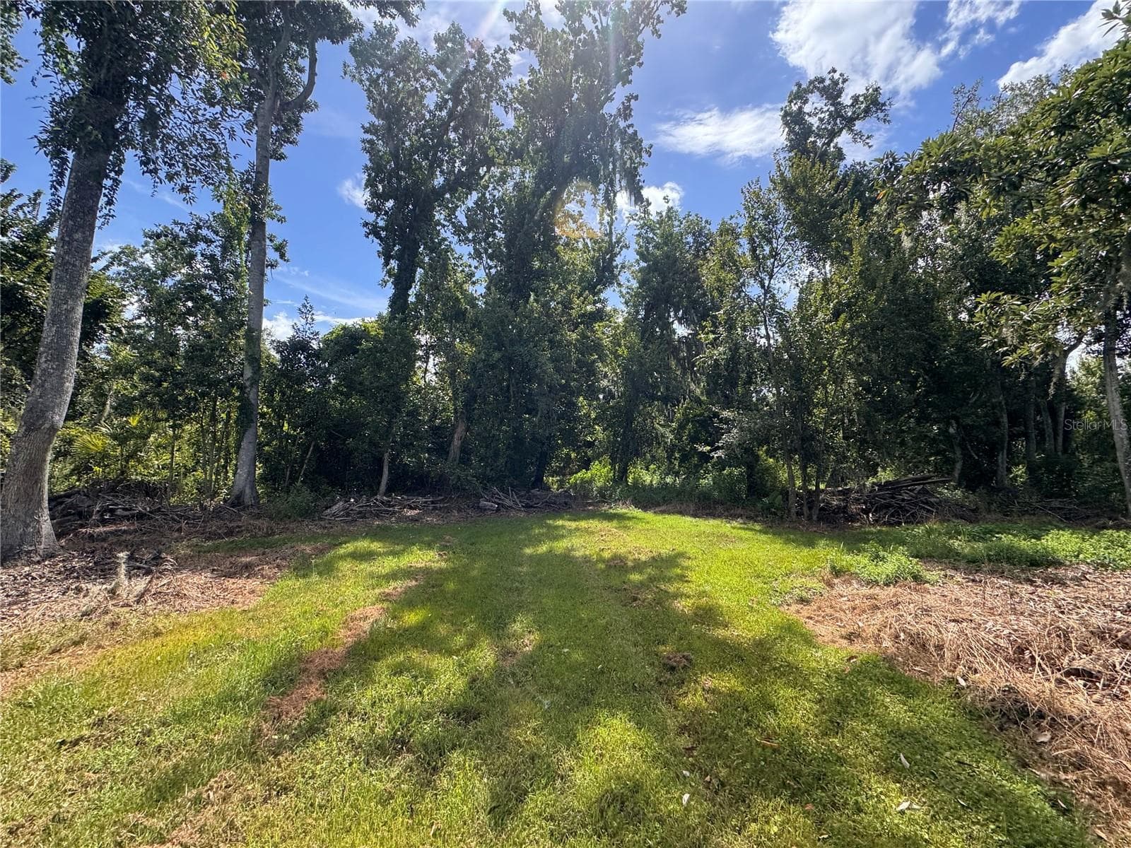 Land at 12275 COUNTY ROAD 675, PARRISH, photo 20 of 43