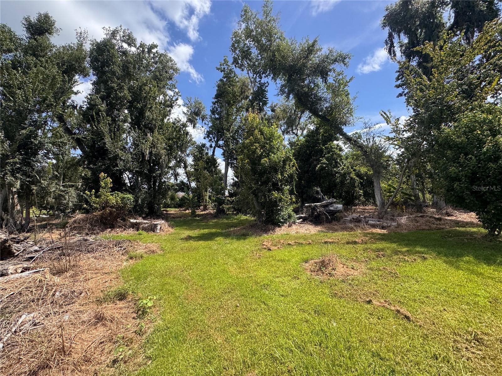 Land at 12275 COUNTY ROAD 675, PARRISH, photo 21 of 43