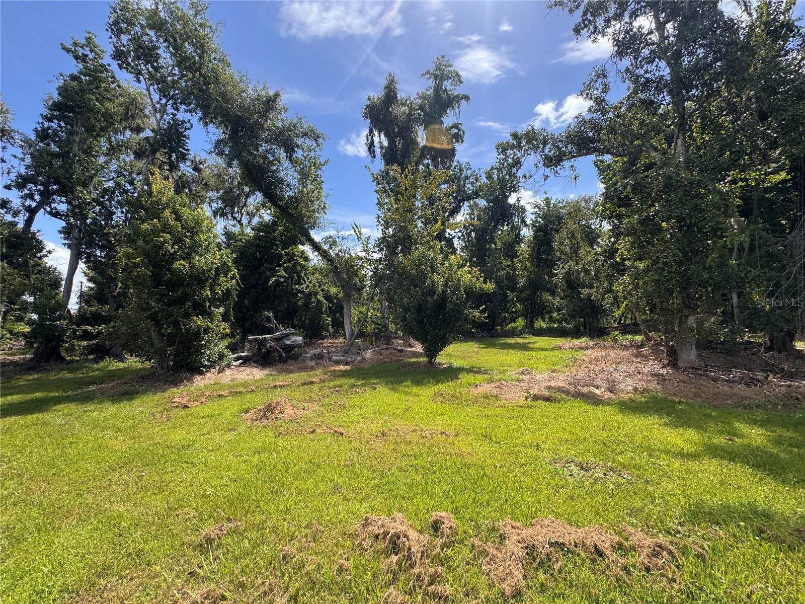 Land at 12275 COUNTY ROAD 675, PARRISH, photo 22 of 43