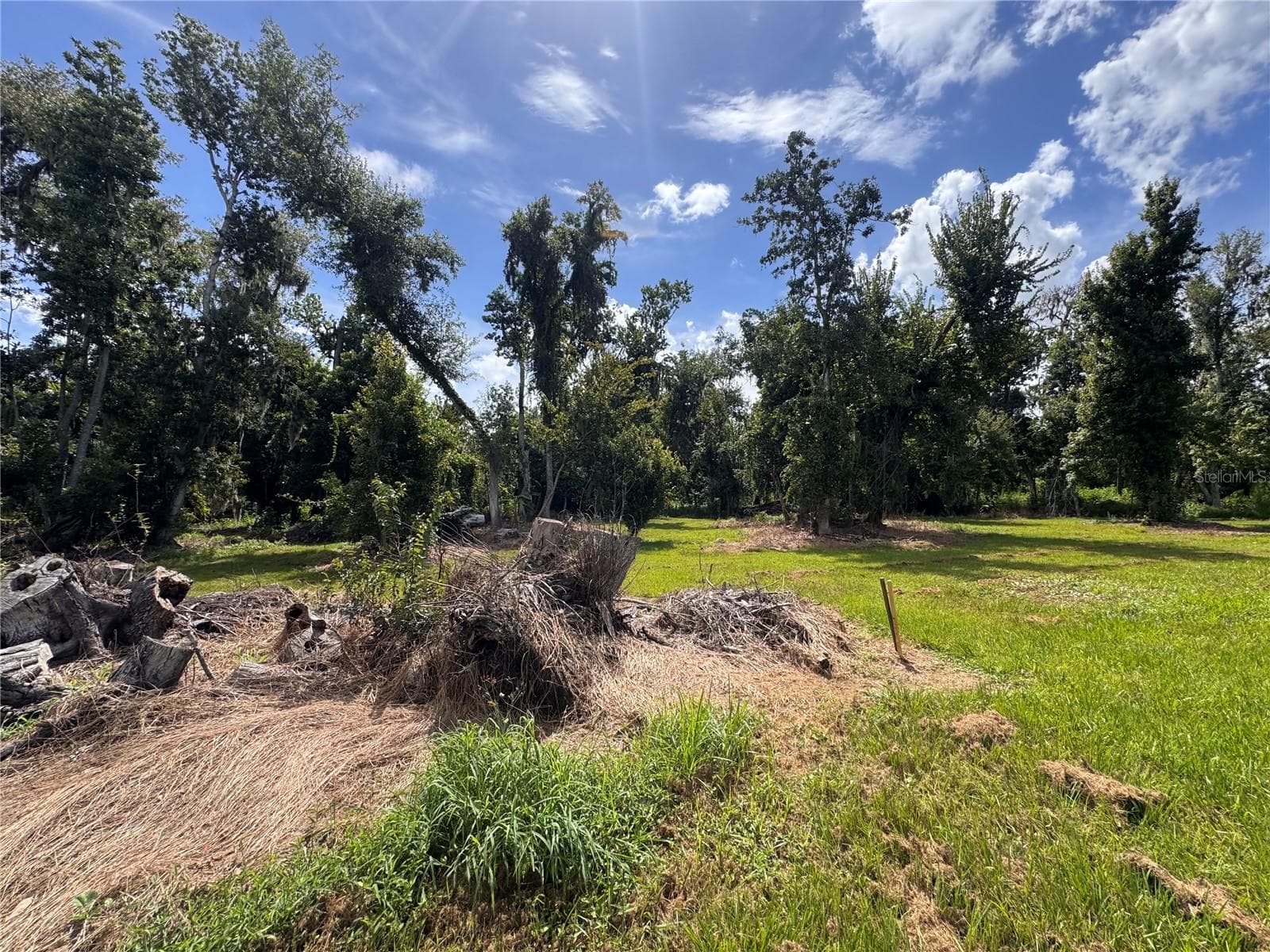 Land at 12275 COUNTY ROAD 675, PARRISH, photo 25 of 43