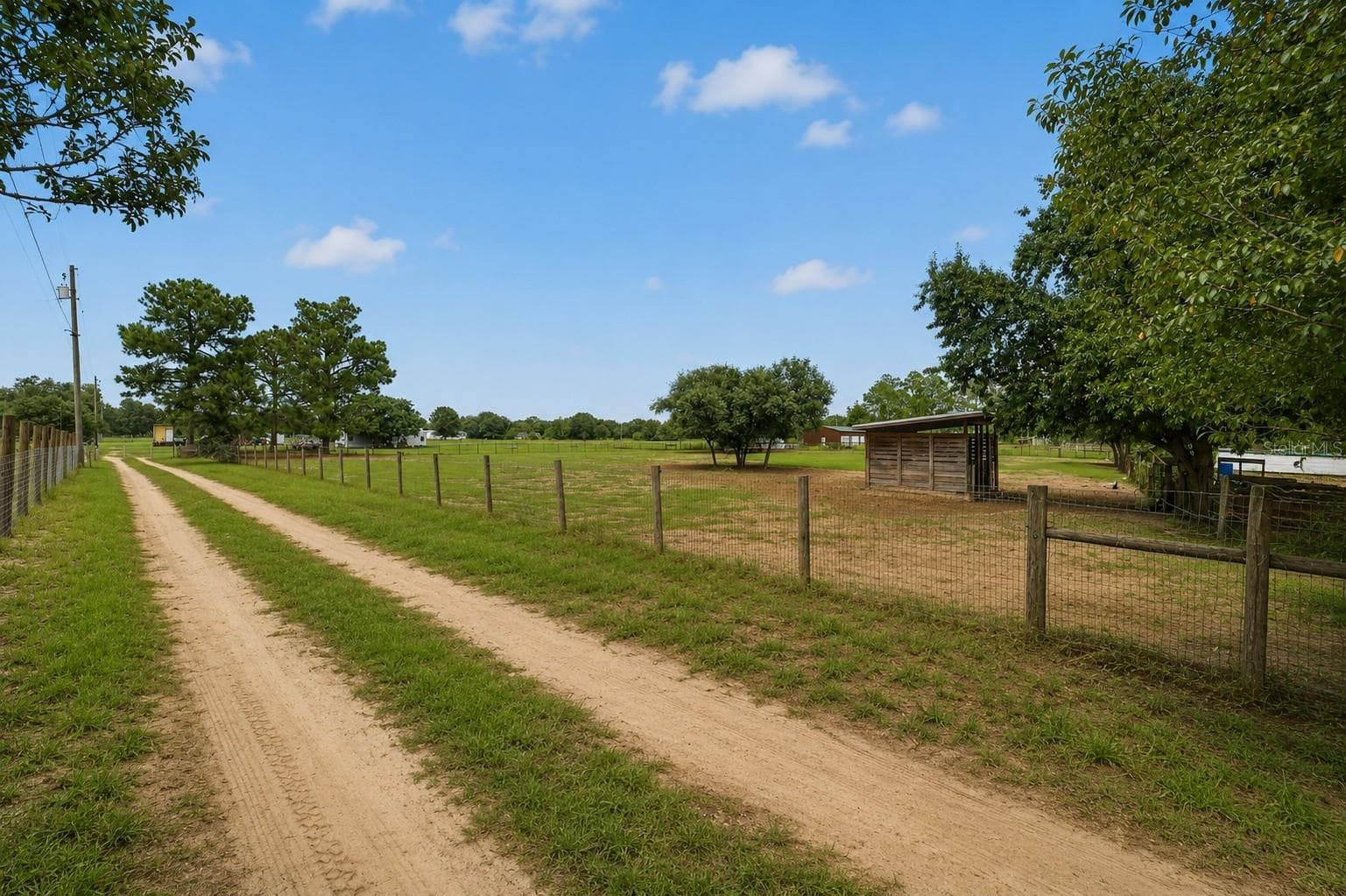 Back Pasture - 15355 SE 113TH STREET RD, OCKLAWAHA