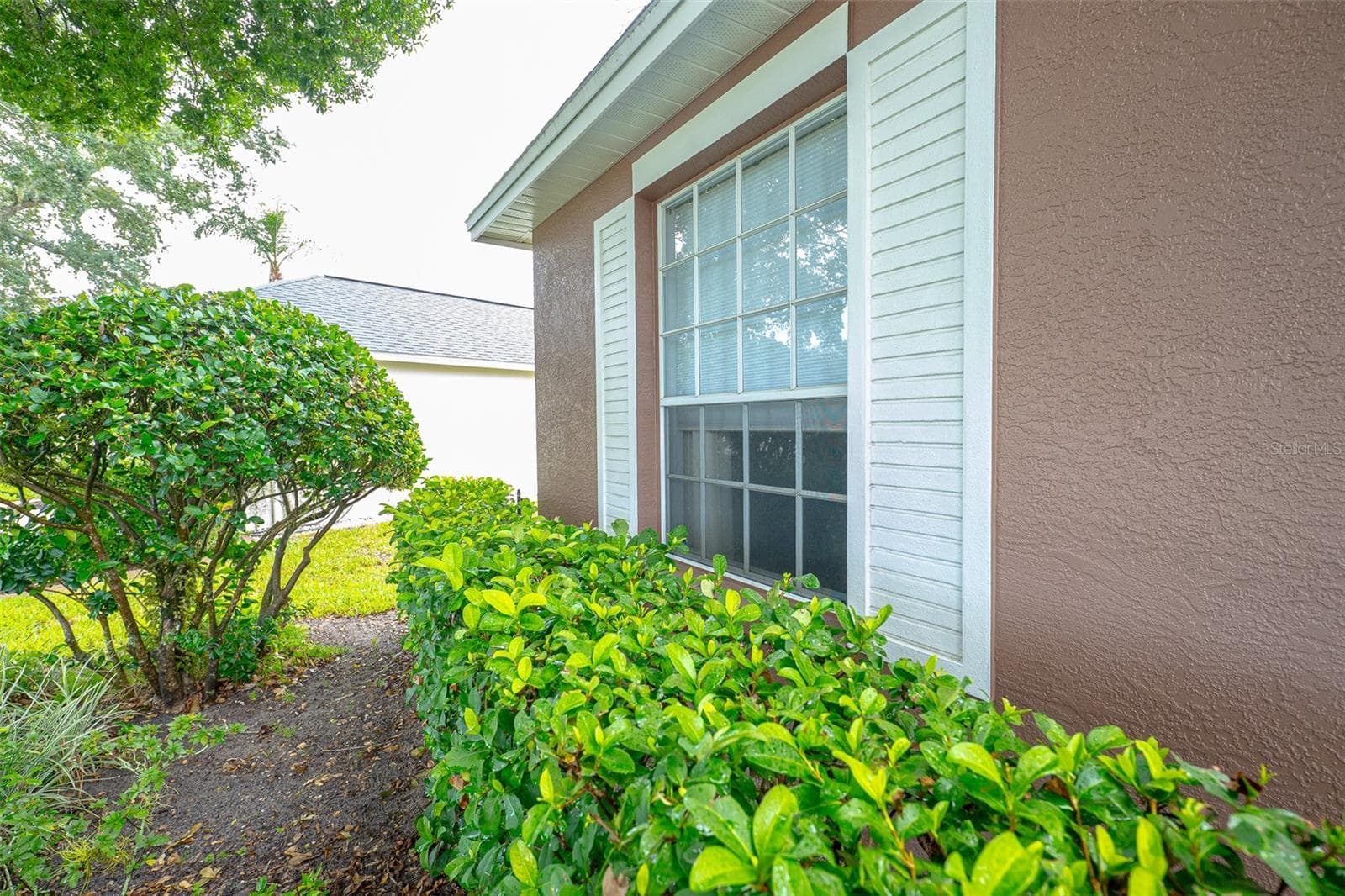 Single Family Residence at 8034 ARCADIAN CT, MOUNT DORA, photo 17 of 58